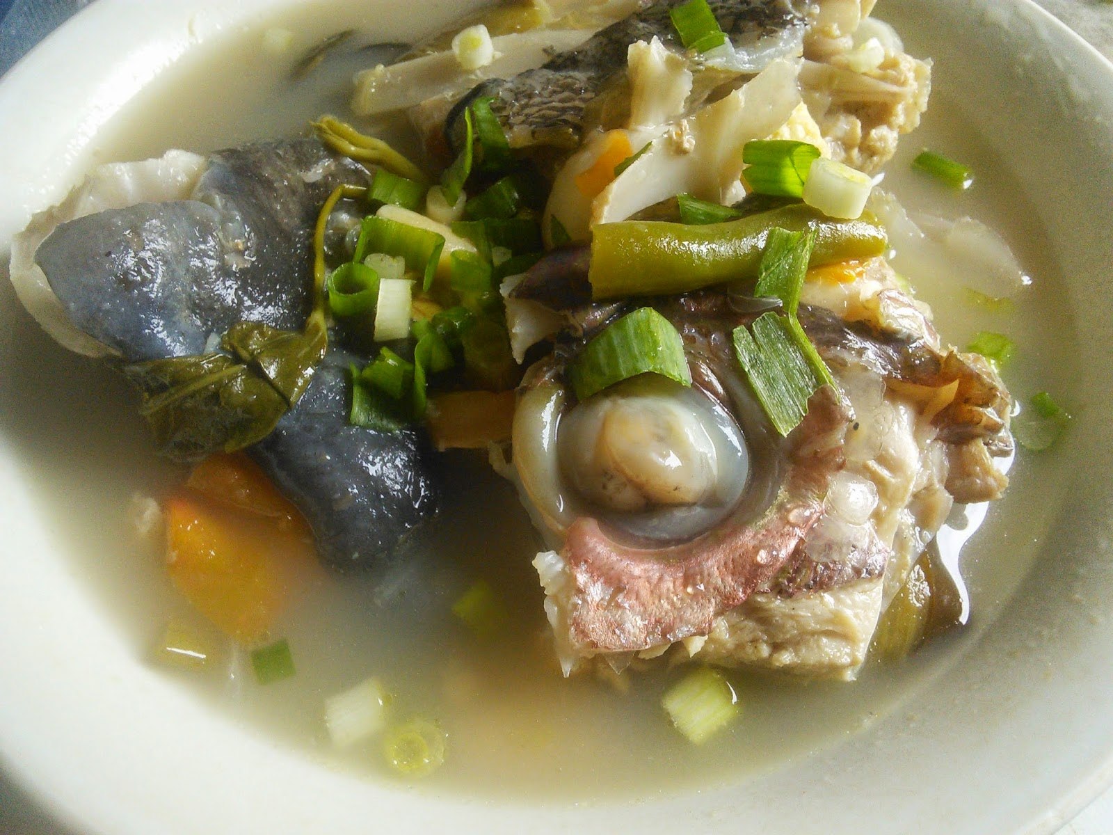 Рыбный суп из тунца свежего рецепт с фото пошагово