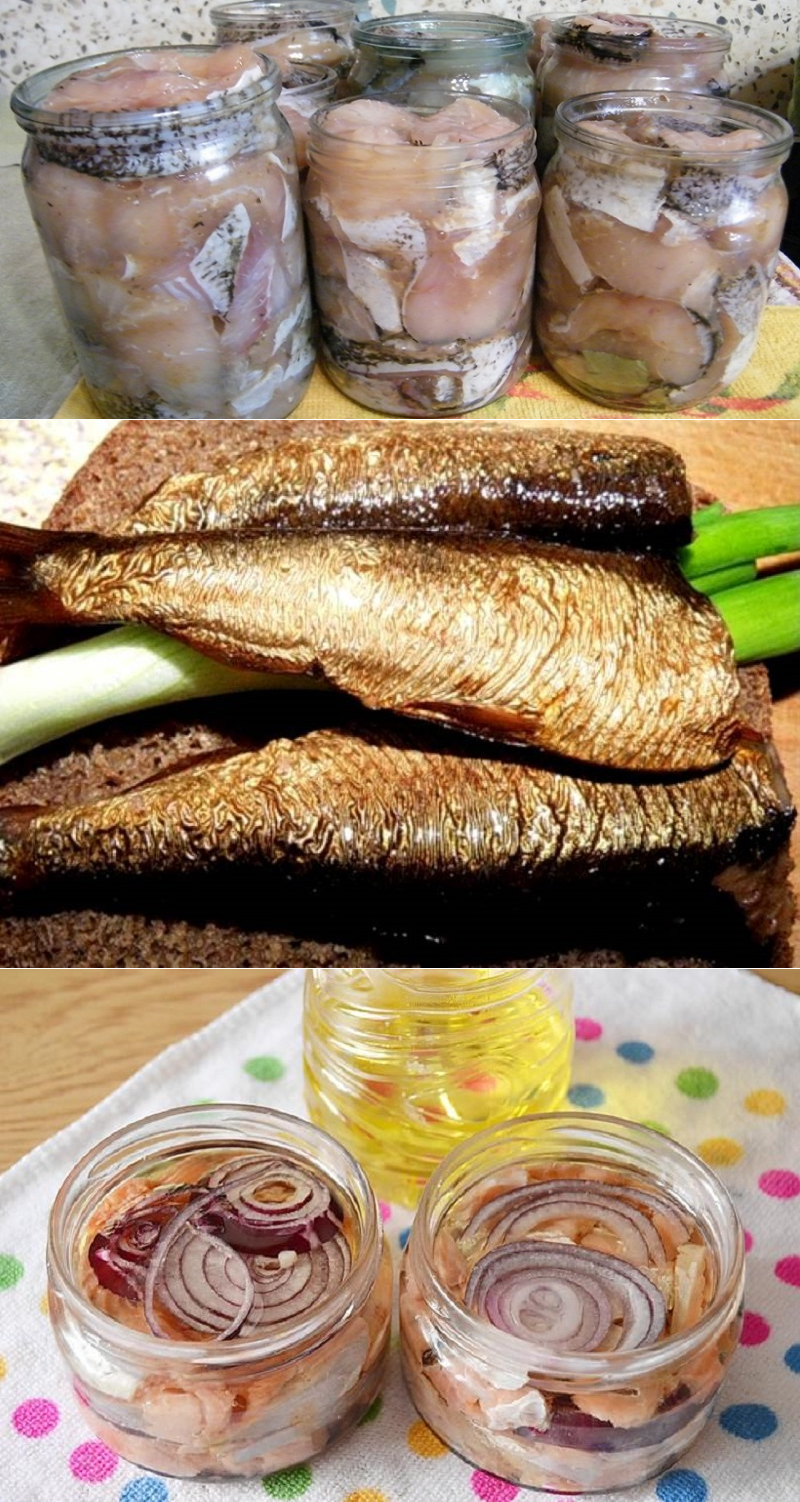 Домашние рыбные консервы рецепты в масле. Рыбные консервы. Консервирование рыбы в домашних. Домашние рыбные консервы. Домашние консервы из рыбы.