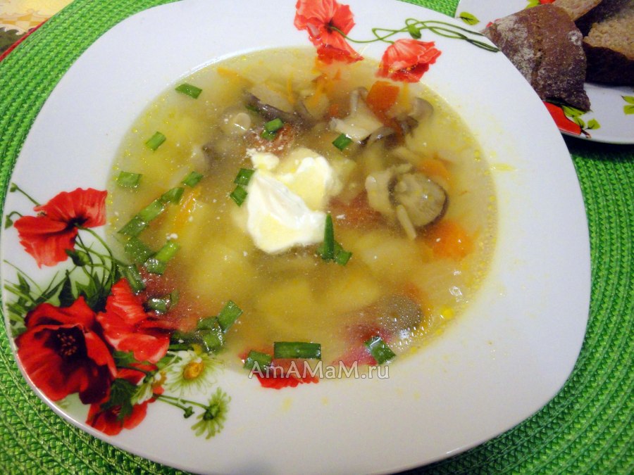 Суп-пюре из вешенок с картошкой