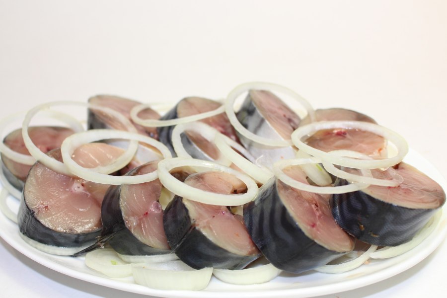 Сельдь, скумбрия, лещ