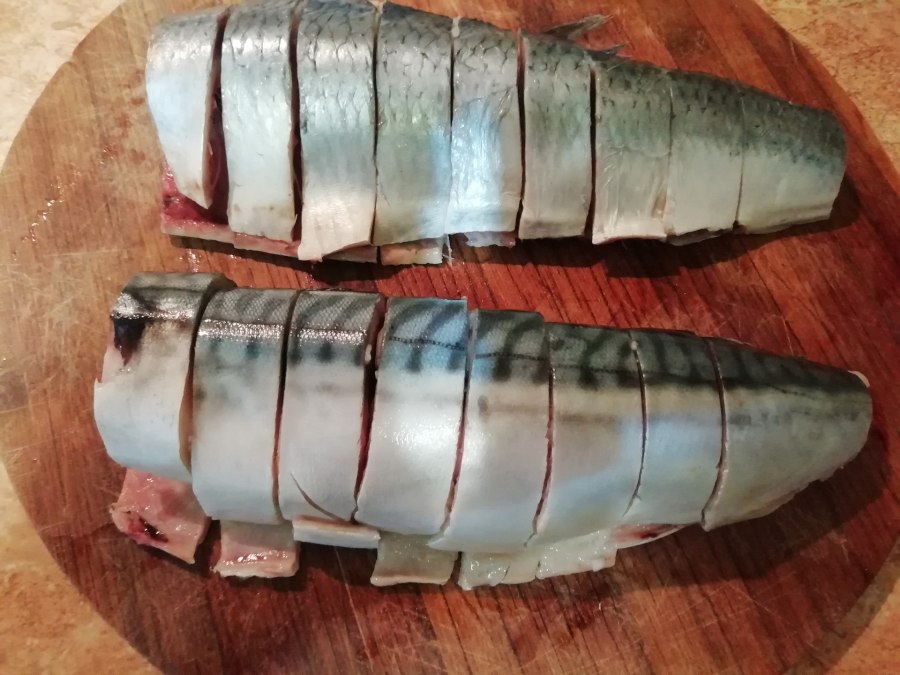 Рыба скумбрия