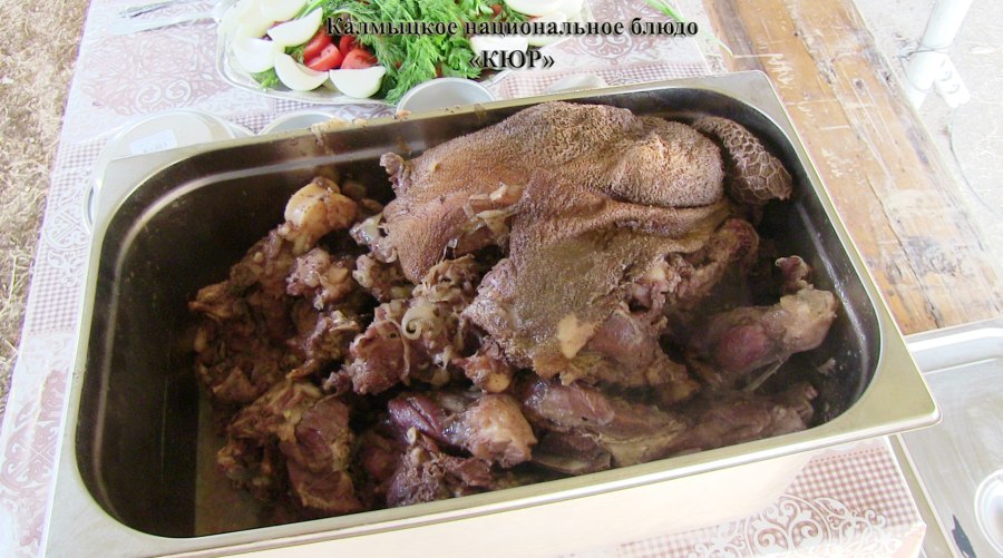 Махан шелтяган калмыцкие