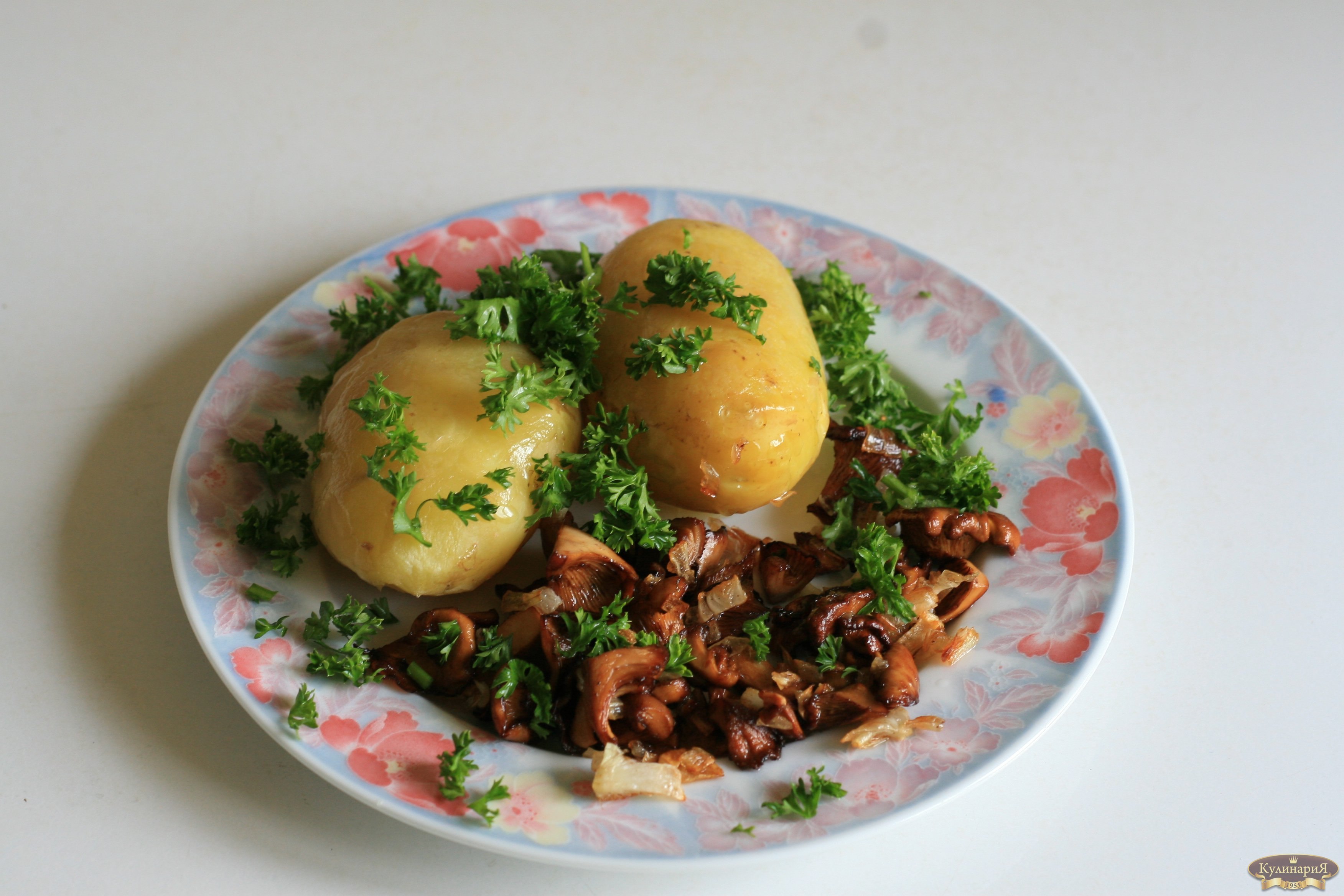 Картофель грибы капуста. Отварной картофель с грибами. Вареный картофель с грибами. Грибочки с отварным картофелем. Картошка с солеными грибами.