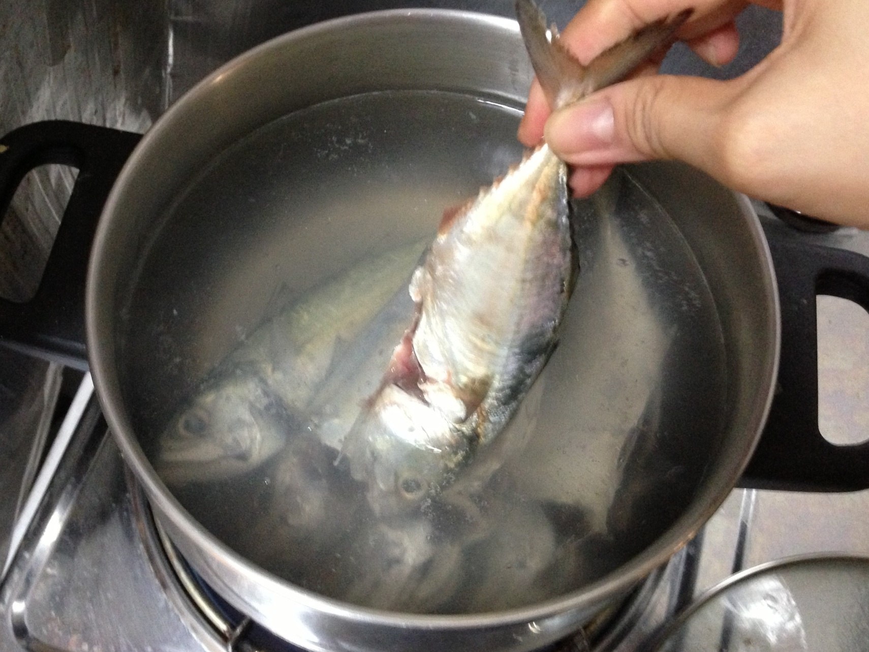 Steam boil fish фото 88
