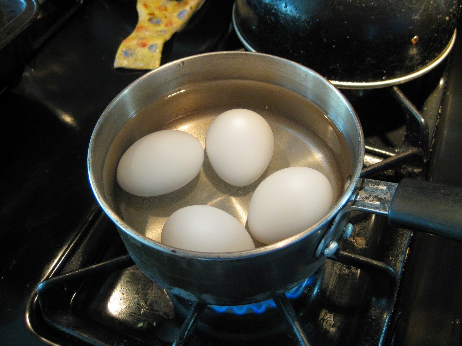 Яйца в кипящую или холодную. Вареные яйца. Яйца в кастрюле. Яйца варятся. Кастрюлька с яйцами.
