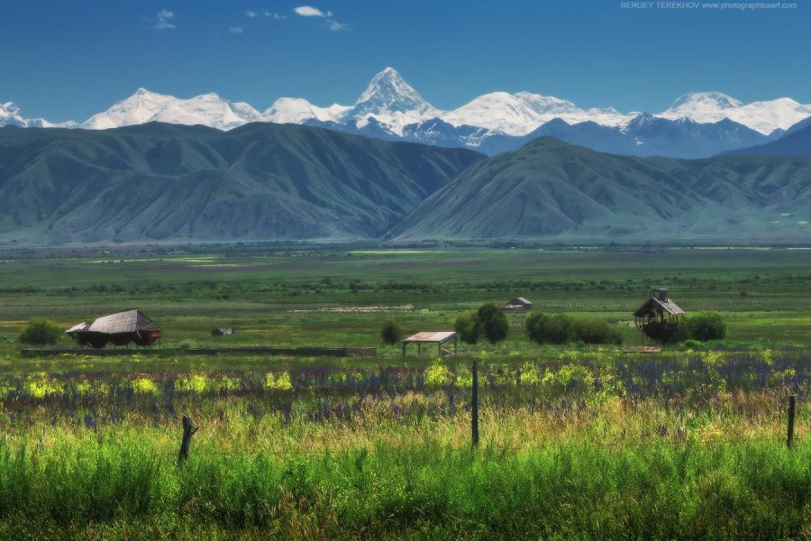 Текес (уезд)
