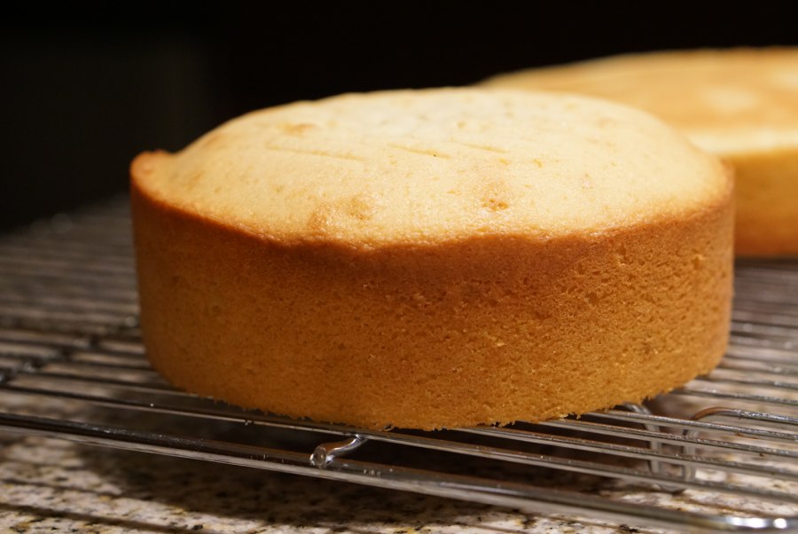 Бисквит Sponge Cake