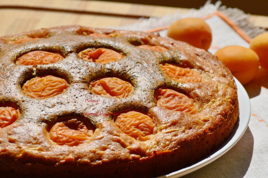 Пирог с абрикосами свежими