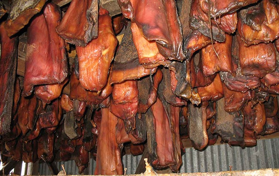 Хаукарль (вяленое мясо гренландской полярной акулы) - Исландия