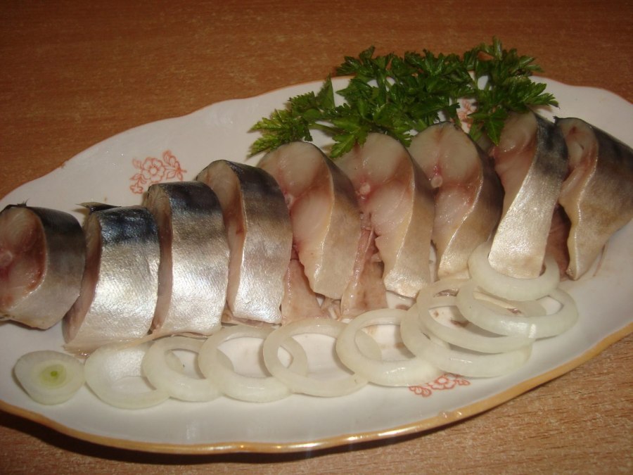 Рыба скумбрия сельдь
