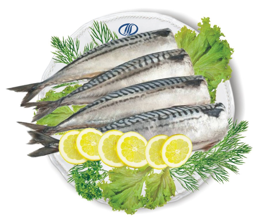 Сельдь скумбрия,сельдь