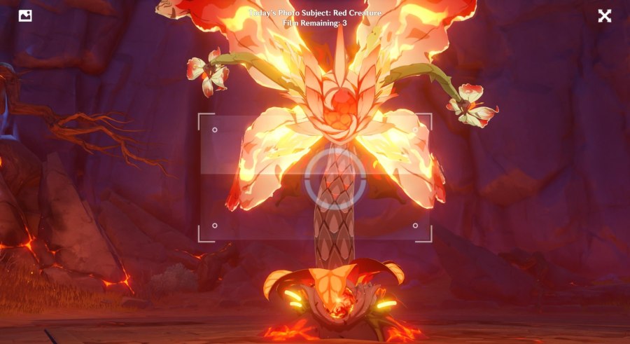Пиро Орхидея Genshin Impact