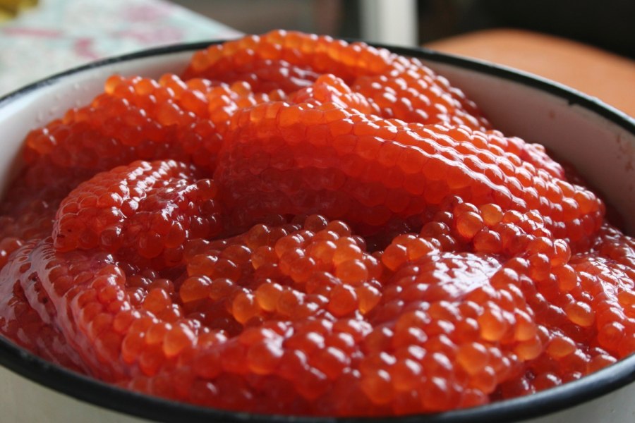 Красная икра сёмга