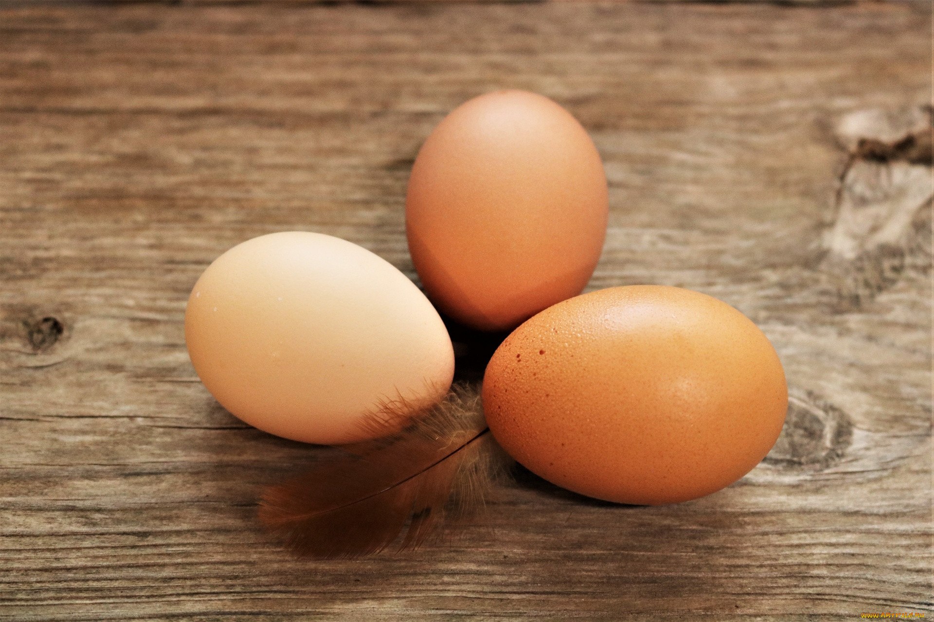Включи 3 яйца. Яйцо куриное. Яйцо куриное коричневое. Три куриных яйца. Яйца 3 шт.