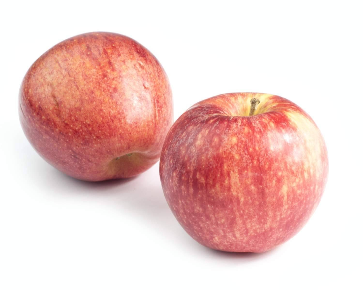 Яблоки гала фото и описание. Яблоки Роял Гала. Роял Гала сорт яблок. Сорт яблони Гала. Ред Гала яблоки.