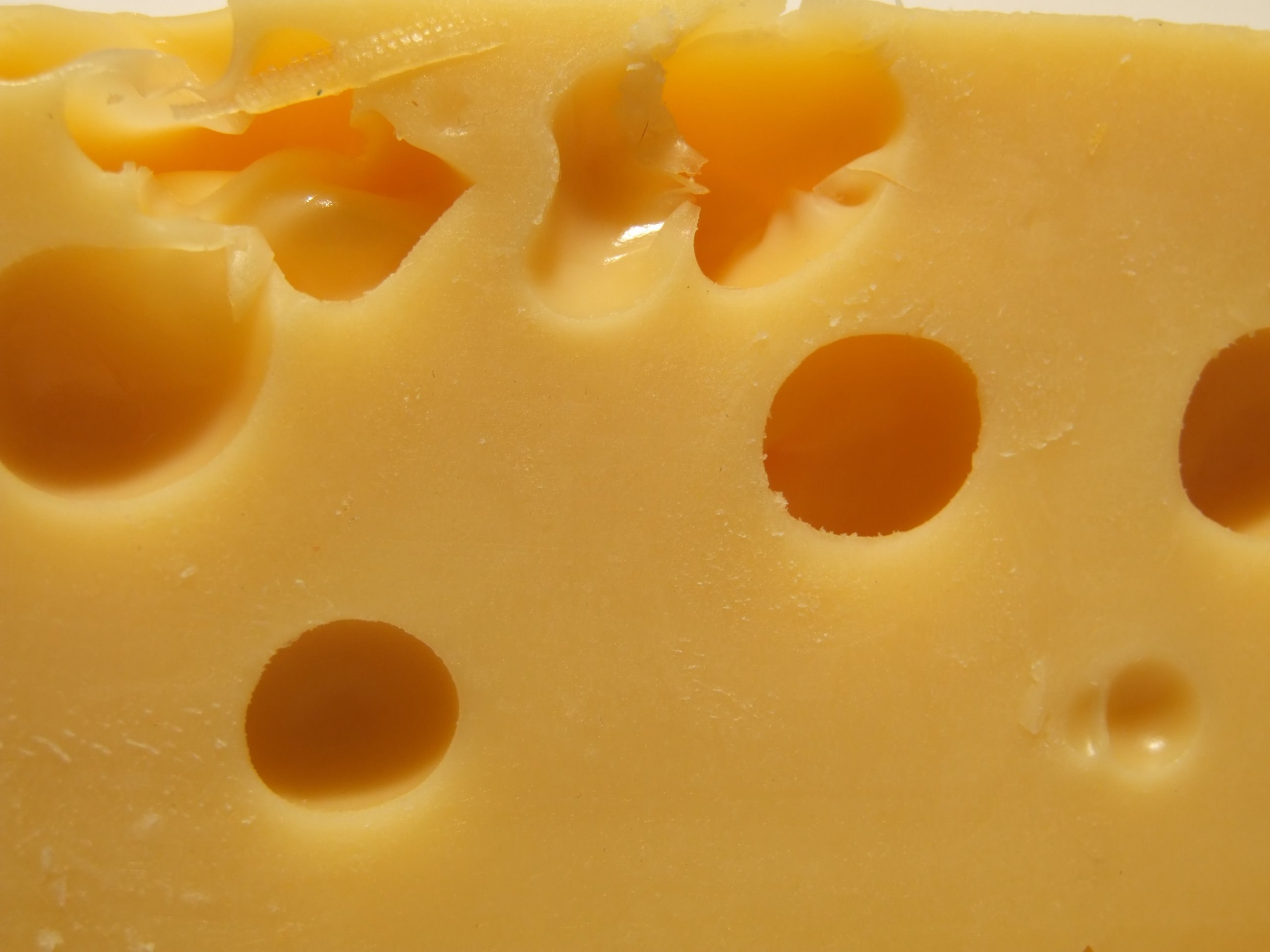 Сыр з дырочками. Дырки в сыре. Сыр с дырочками. Сыры с дырками. Текстура сыра.