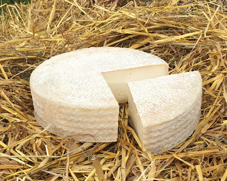 Манчего из козьего молока