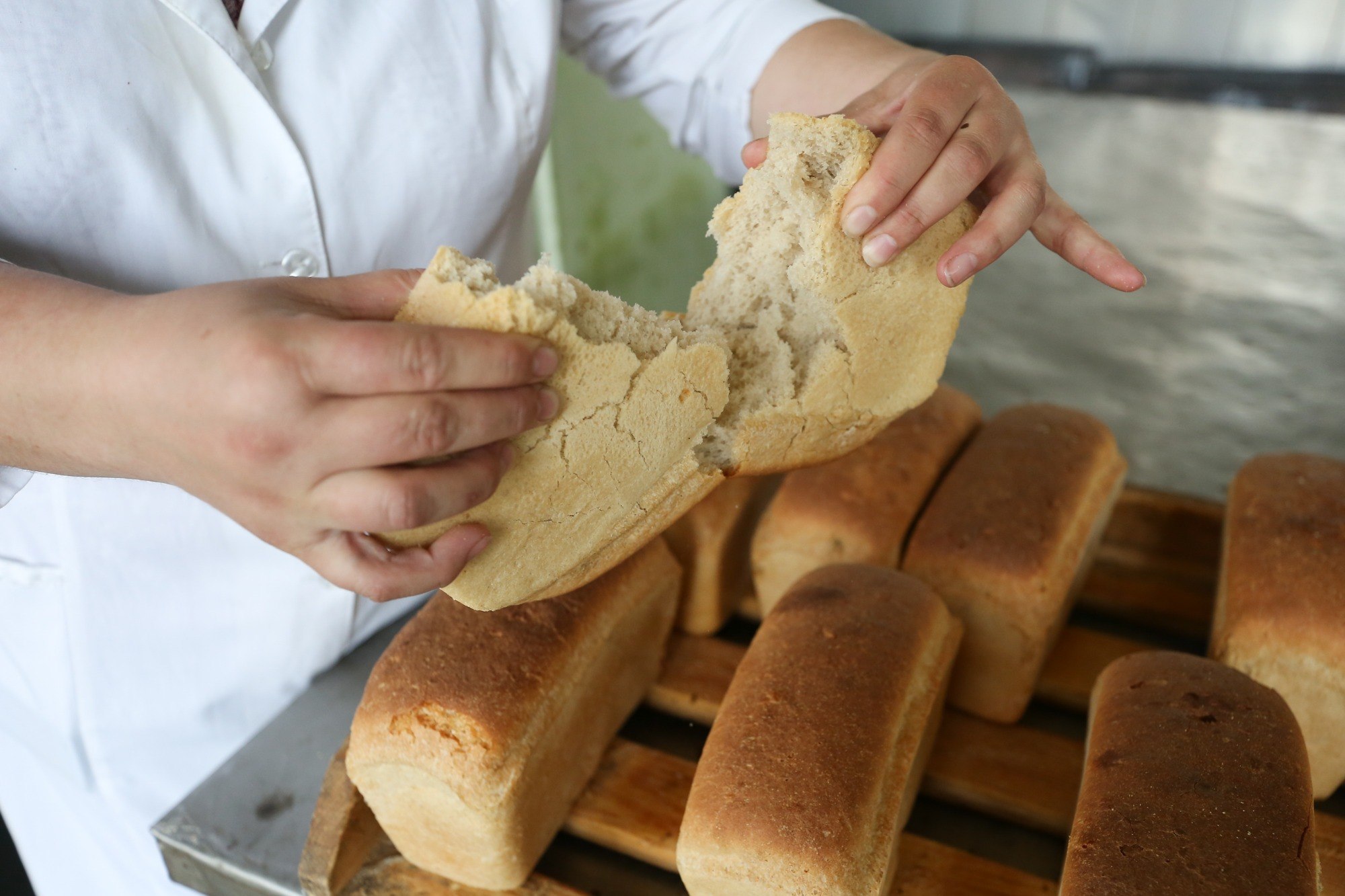 Экспертиза качества теста. Качество хлеба. Экспертиза качества хлебобулочных изделий. Экспертиза качества хлеба. Контроль качества хлеба.