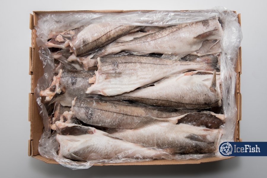 Хек и минтай