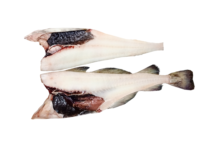 Пикша без головы