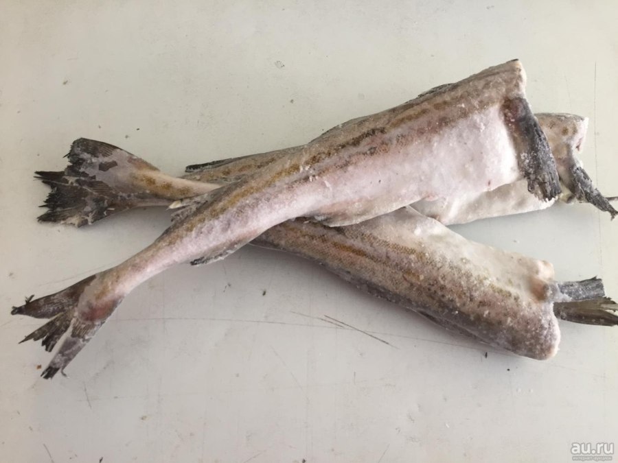 Малек наваги