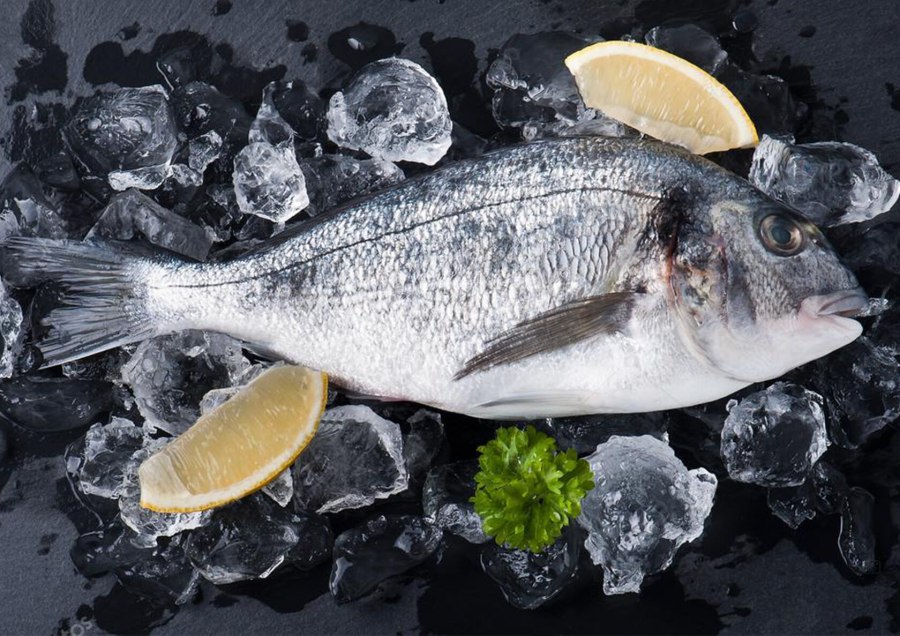 Красная дорадо