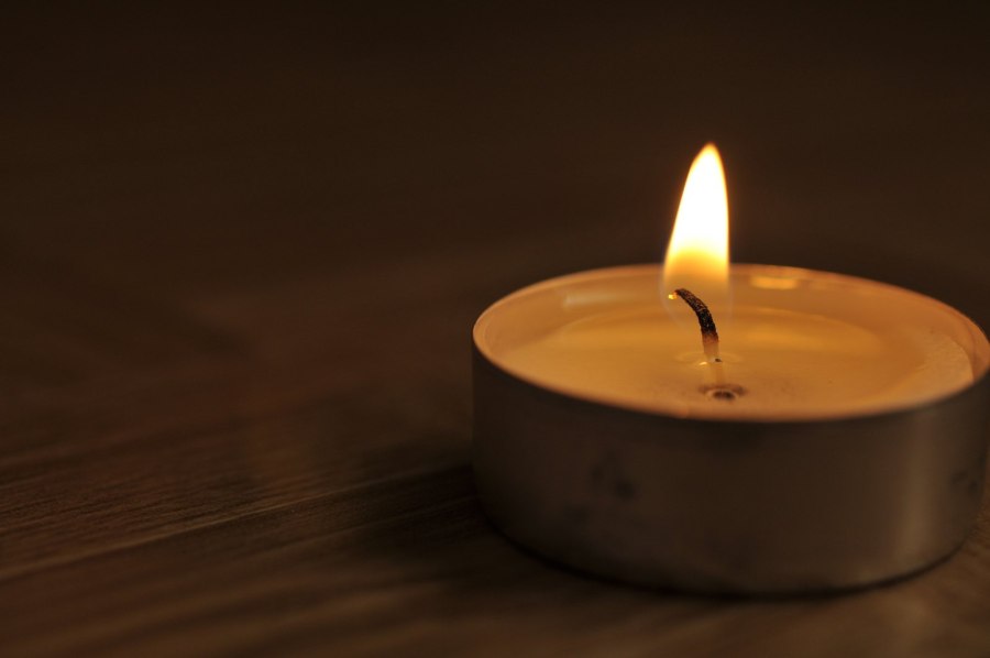 Форель терпуг