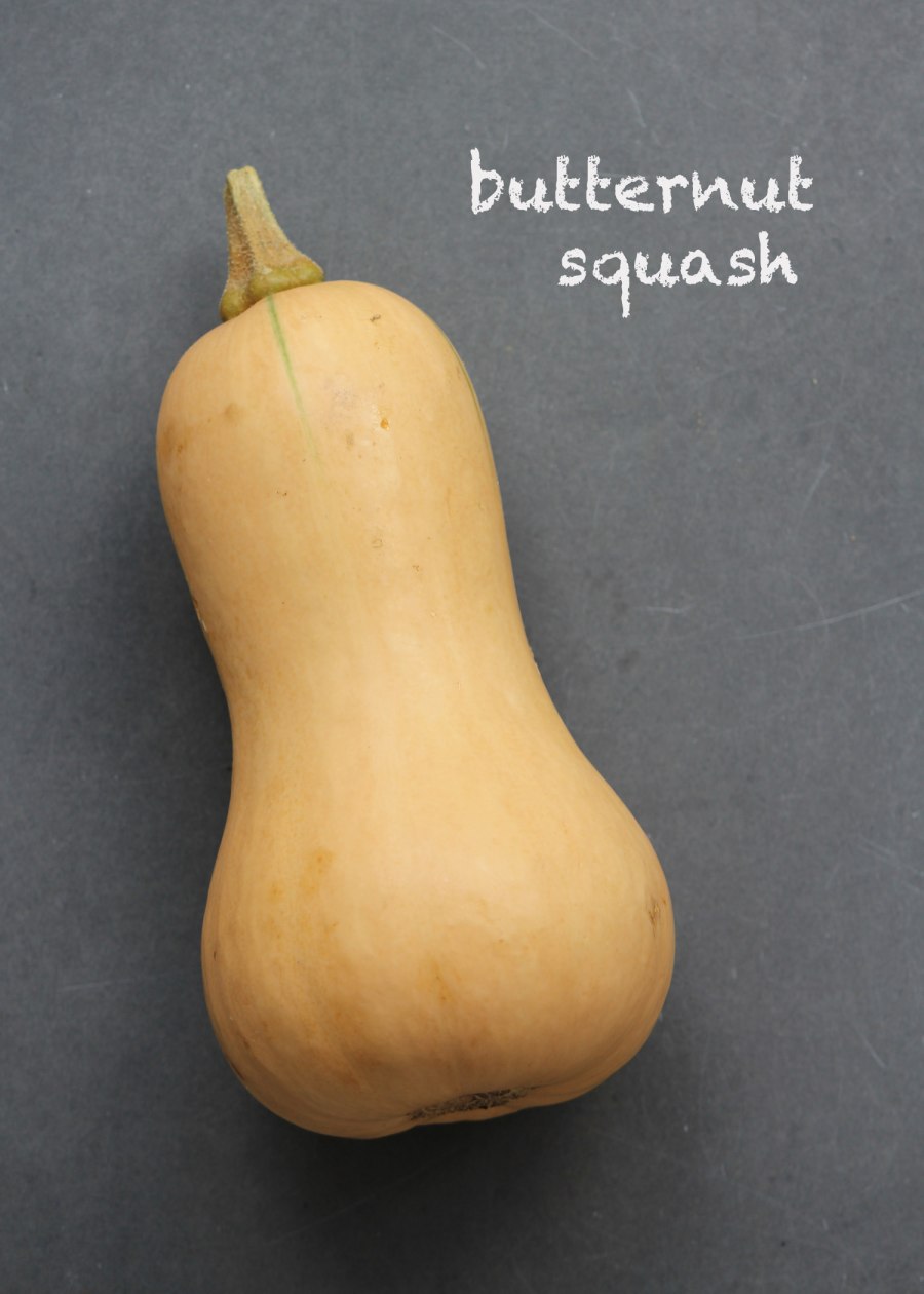 Тыква сорт баттернат