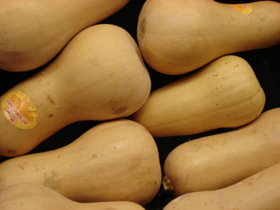 1 Butternut Squash