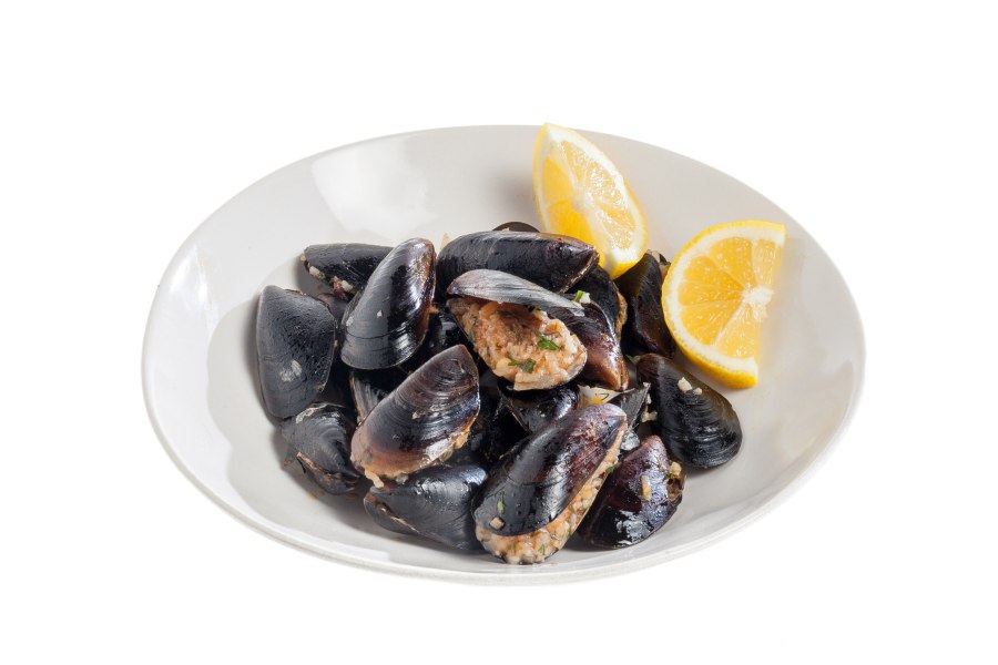 Мидия животное