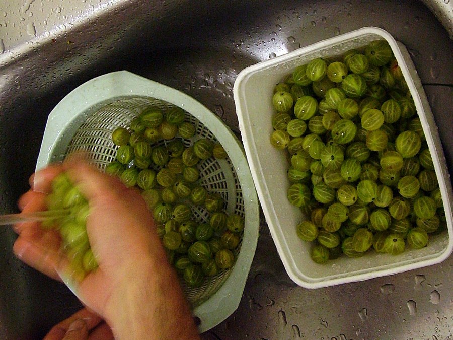 Крыжовник с апельсином протертый с сахаром без варки