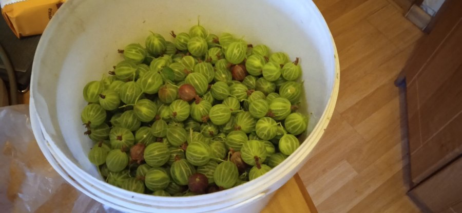 Смородина перетертая с сахаром