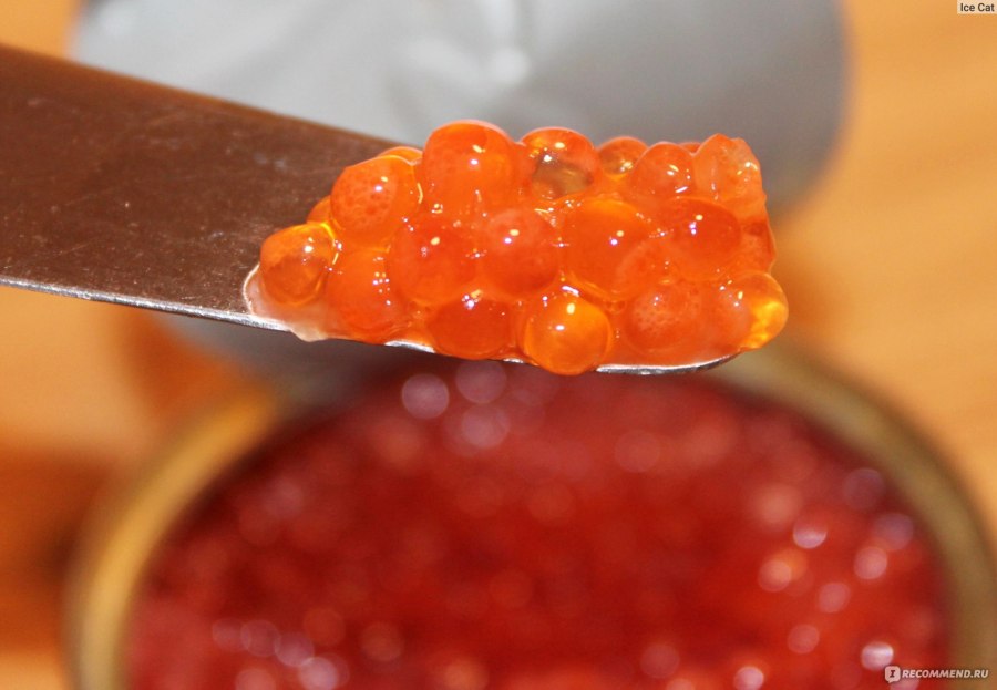 Морская икра на льду