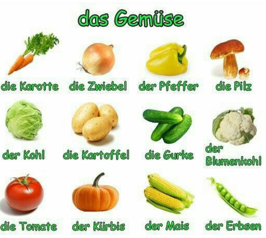 Овощи на немецком языке с артиклями