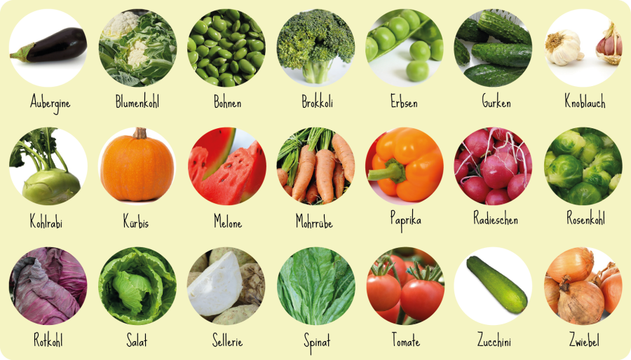 Фрукты и овощи на немецком