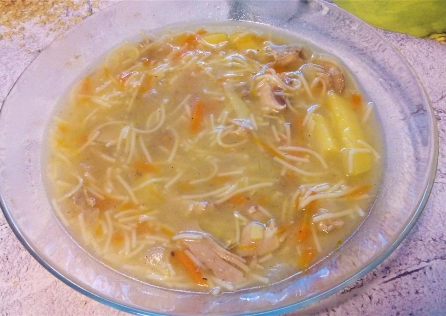 Суп Рыжик с жареной вермишелью куриный