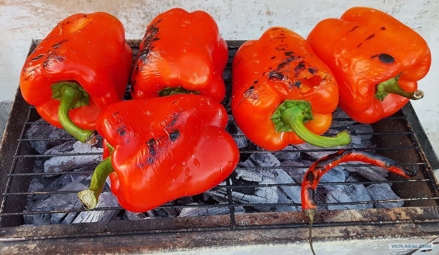 Болгарский перец на мангале