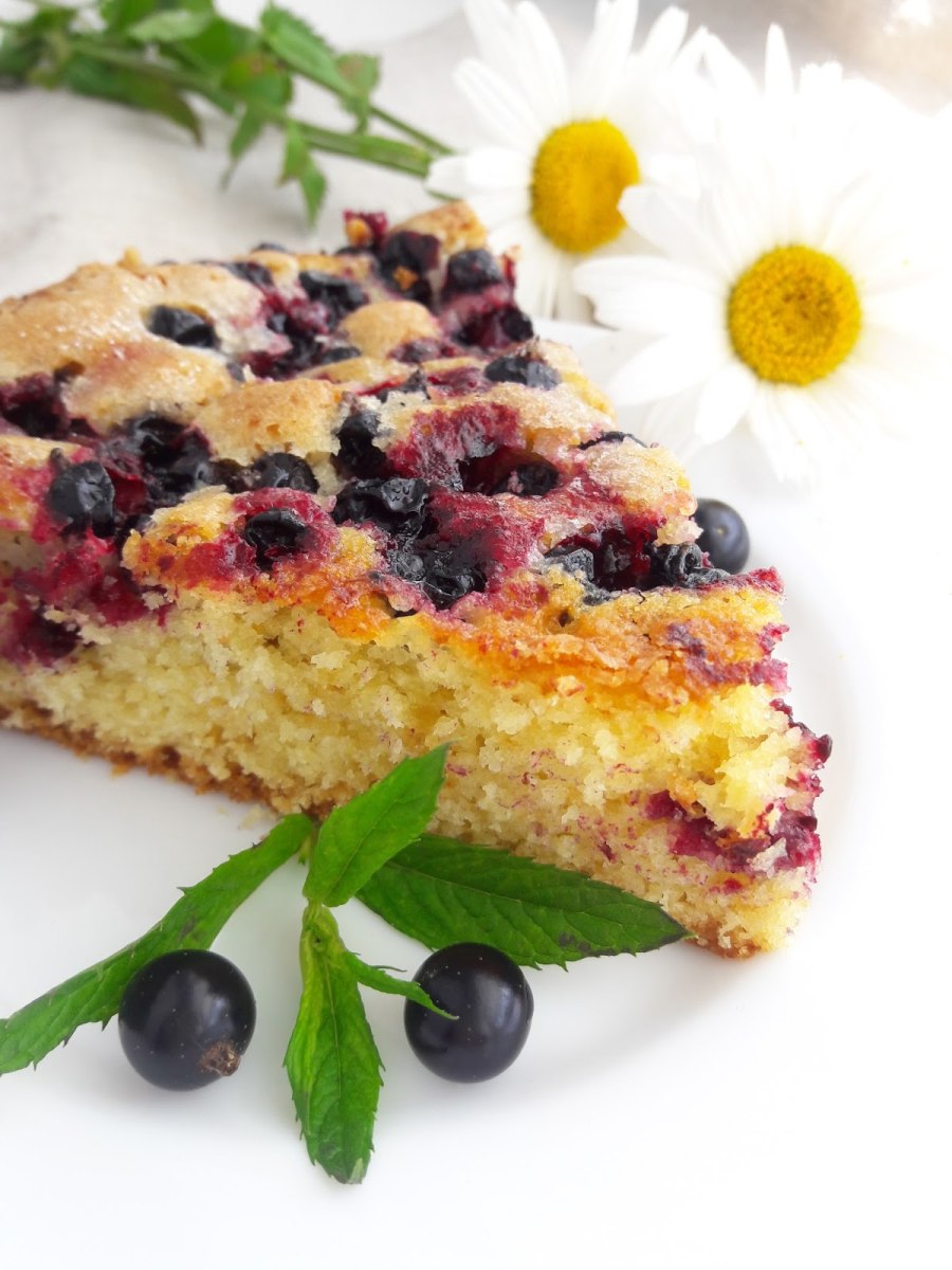 Черничный КИШ