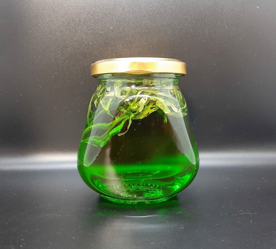 Варенье из хвои и тархуна