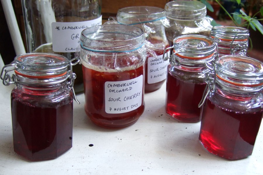 Эстрагон специя