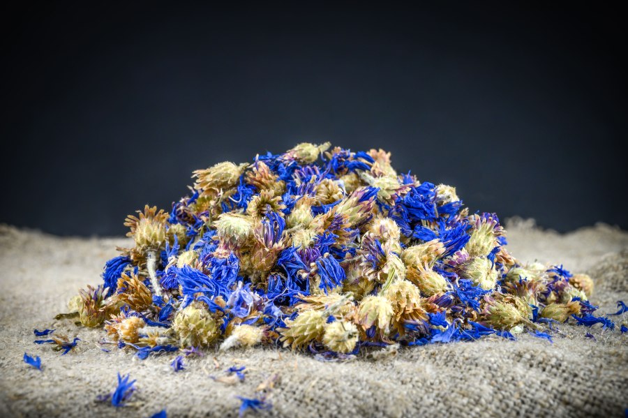 Васильковая чашечка с чаем