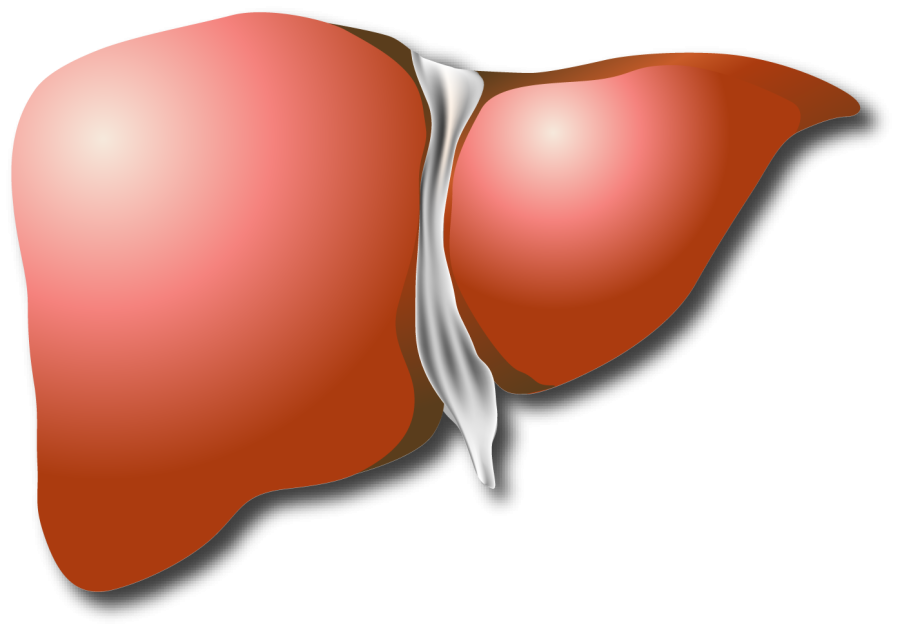 Отбивные из говядины