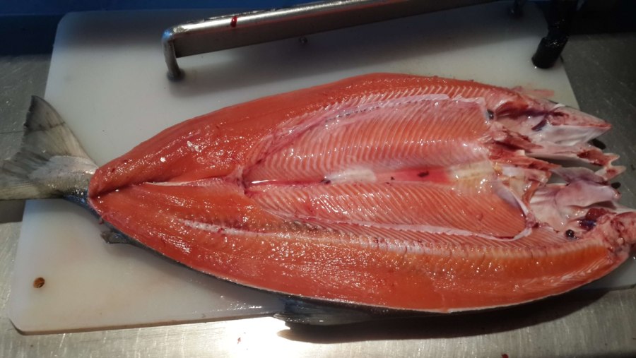 Филе барабульки