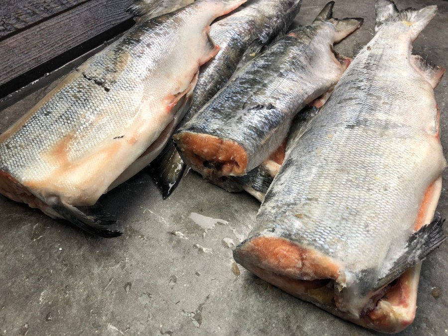 Стейк кижуча Чили