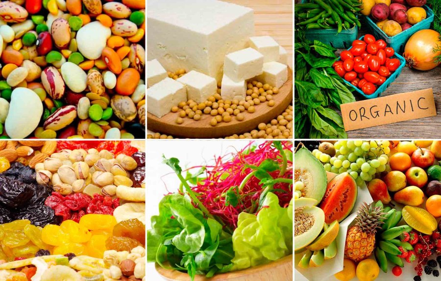 Рацион питания сыроеда