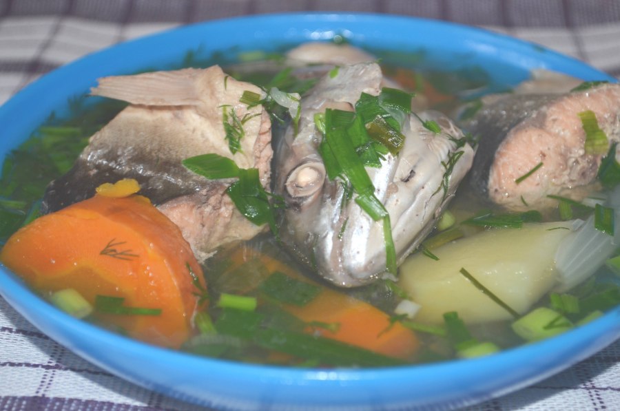 Суп из консервов горбуша натуральная