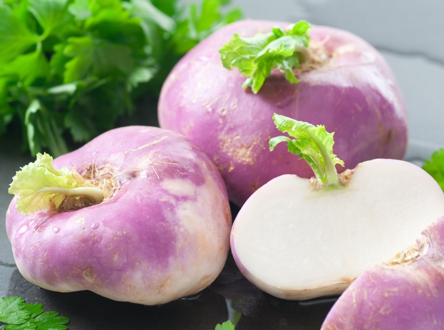 Репа (лат. Brassica Rapa)