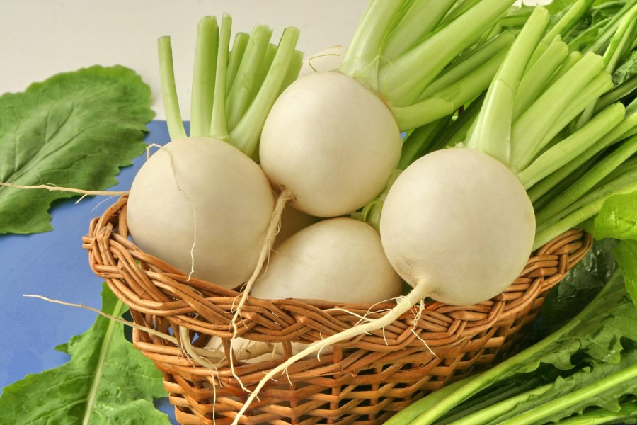 Репа (Brassica Rapa)