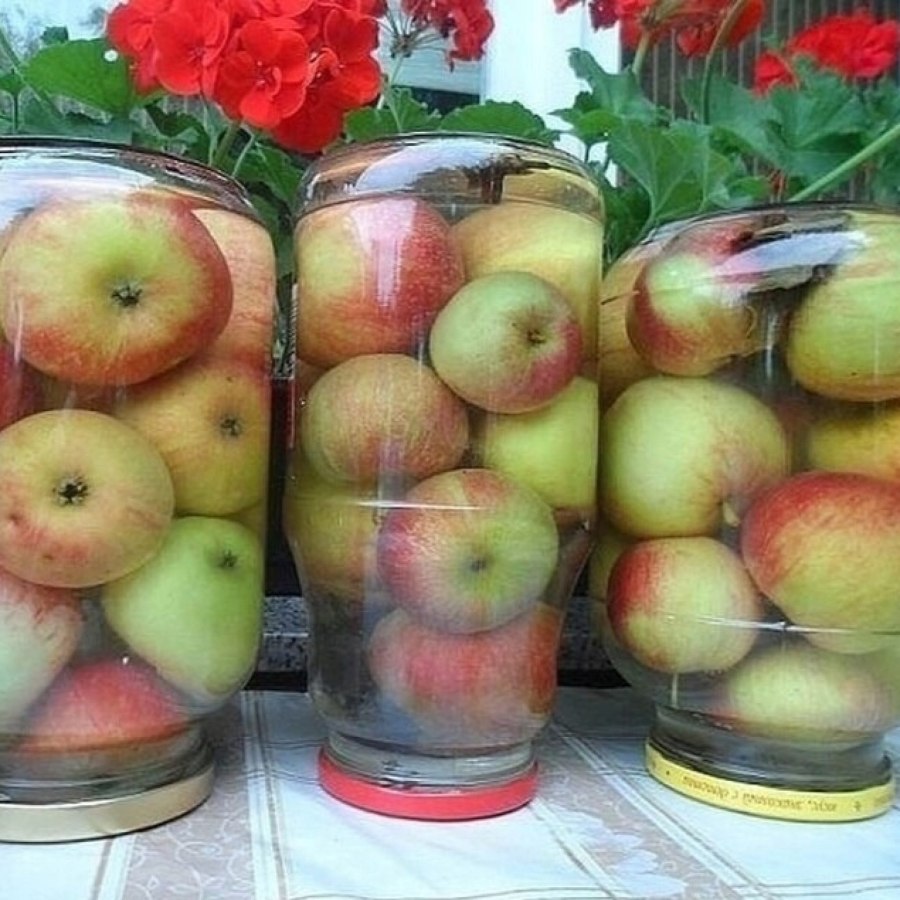 Яблоки богатырь моченые