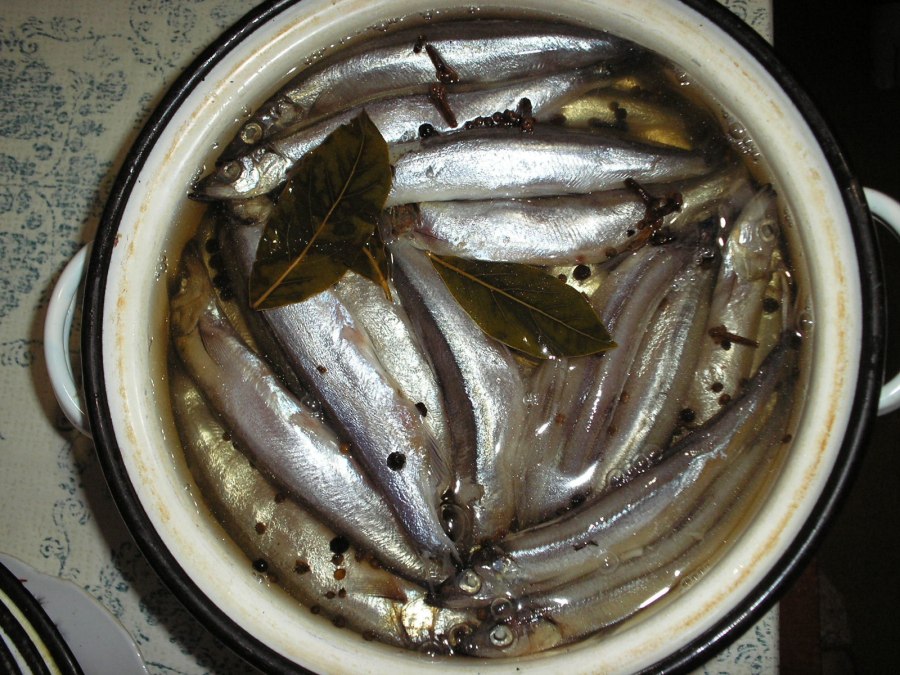 Скумбрия зубы